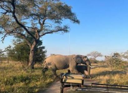 African Budget Safari 7 Days - 6 Nights Tour