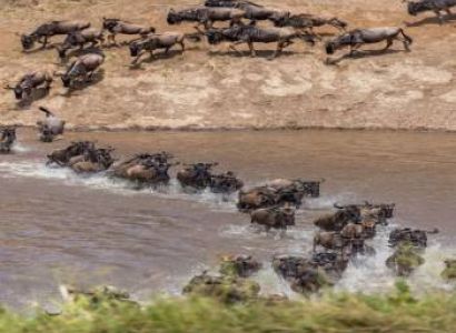 Mara River Migration Safari 7 Days - 6 Nights Tour