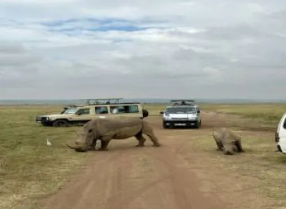 Budget Honeymoon Camping Safari 4 Days - 3 Nights Tour