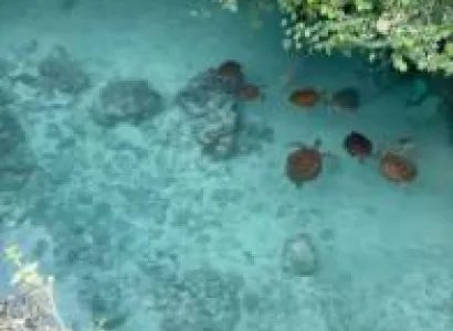 Indian Ocean Of Zanzibar 6 Days - 5 Nights Tour