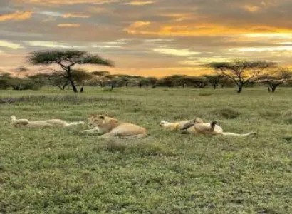 Tanzania Glamping Tour 03 Days