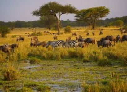 3 Days And 2 Nights Wildlife Experience At Ol Pejeta Conservancy