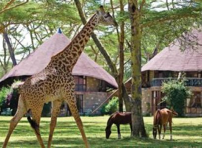 10 Days Kenya Family Expedition Tour