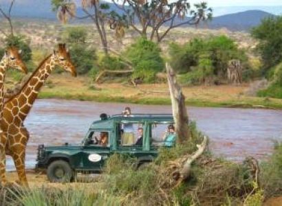 Ngorongoro Tour Packages