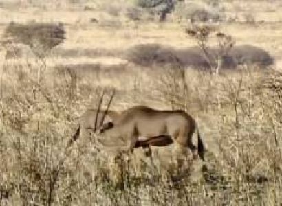 Manyara Tour Packages