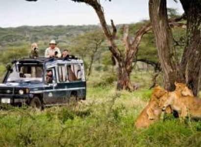 4 Days Safari Taita Hills - Amboseli - Tsavo East National Park Tour
