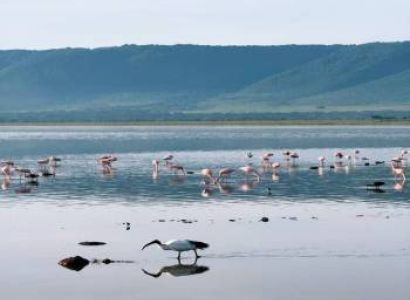 5 Days 4 Nights Tanzania Signature Luxury Safari Experience