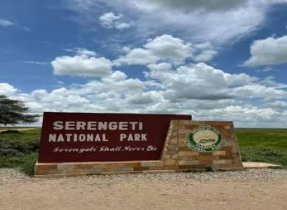 5 Days 4 Nights Tanzania Signature Luxury Safari Experience