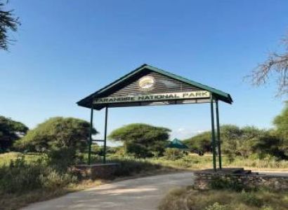 5 Days 4 Nights Tanzania Signature Luxury Safari Experience