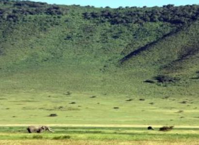 7 Days Ultimate Northern Tanzania Wildlife Expedition