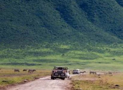 7 Days Ultimate Northern Tanzania Wildlife Expedition