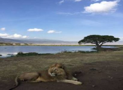 7 Days Ultimate Northern Tanzania Wildlife Expedition