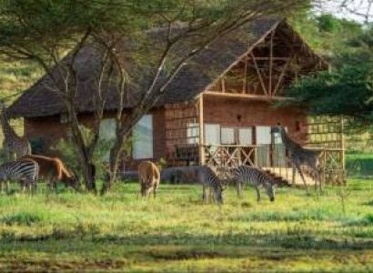 1 Day Tour To Serval Wildlife