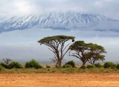 1 Day Hike To Mt. Kilimanjaro National Park Tour