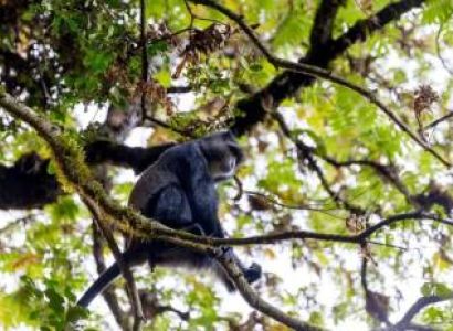 1 Day Tour To Arusha National Park