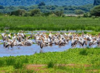 Manyara Tour Packages