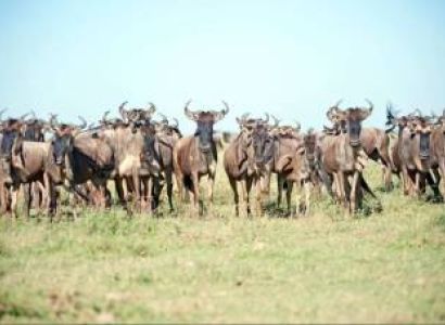 Ngorongoro Tour Packages