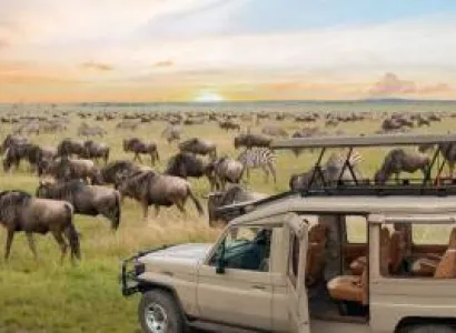 Manyara Tour Packages