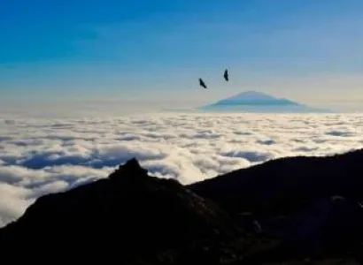 9 Days Rongai Route - 7 Days Hiking Tour