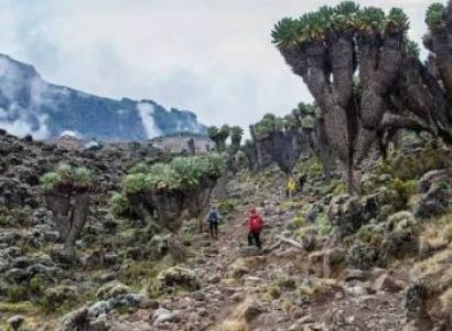 7 Days Kilimanjaro - Rongai Route Tour