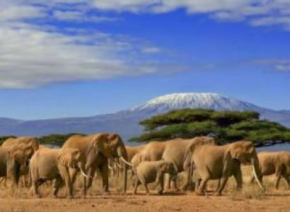 4 Days Amboseli Adventure Tour