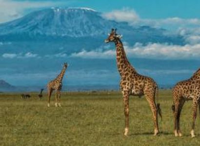 3 Days Amboseli Packages