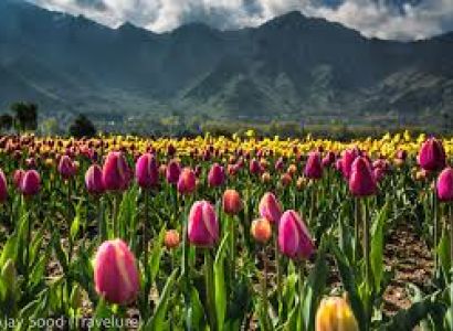 4 Night - 5 Days Kashmir Tour Package