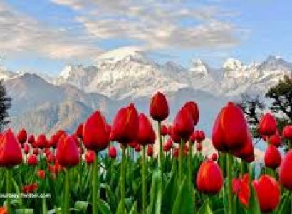 3 Night 4 Day Delhi To Munsiyari Tour Package