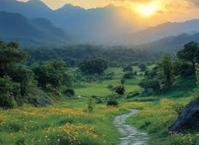 2 Night 3 Day Palampur Tour Package