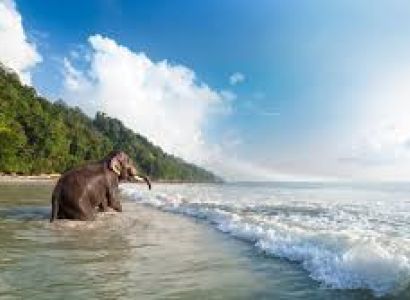 4 Night - 5 Days Andaman Tour Package