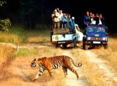 2 Night 3 Day Jim Corbett Tour