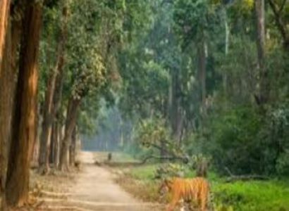 2 Night 3 Day Jim Corbett Tour