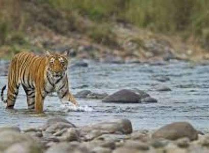 2 Night 3 Day Jim Corbett Tour