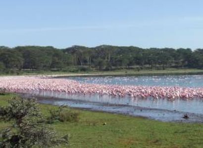 10 Days - 9 Nights Kenya Wildlife Safari Tour