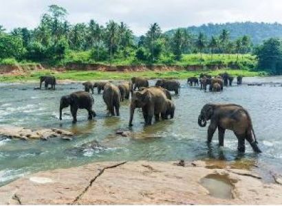 04 Nights - 05 Days Sri Lanka Tour Package