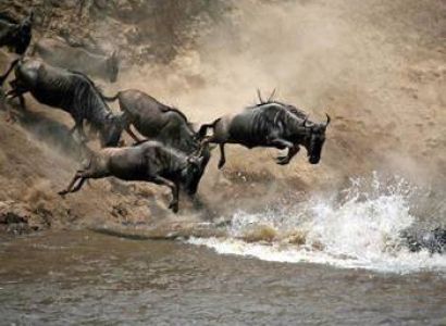 2 Nights / 3 Days Luxury Masai Mara Road Safari