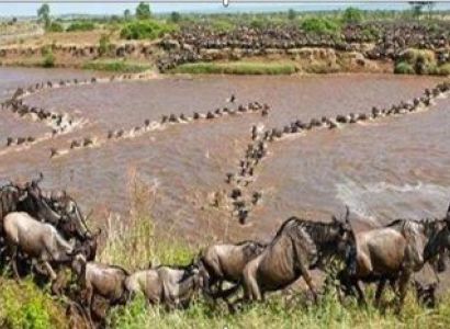 2 Nights / 3 Days Luxury Masai Mara Road Safari