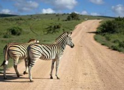 Amboseli - Tsavo West - Tsavo East - Holiday Safari Tour