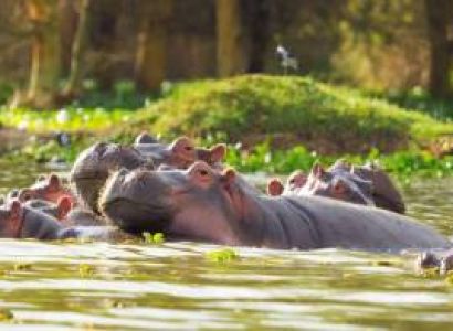 Nairobi - Samburu - Nanyuki - Nairobi Tour