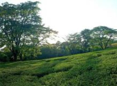 8 Nights 9 Days Heaven Himachal Tour Package