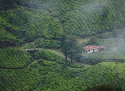 Thekkady Tour Packages