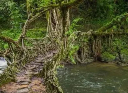 North East India Tour Package 15 Days