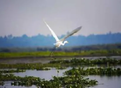 Assam Tour Package - 8 Days 7 Nights