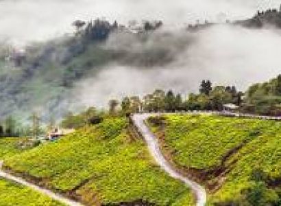 6N - 7D Darjeeling - Mirik - Gangtok Tour Package