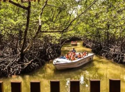 Neil Island Tour Packages