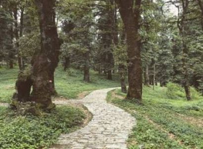 6n / 7d Hidden Gems - Mandi