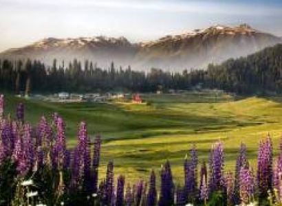 6 Nights and 7 Days In Paradise on Earth Namely Jannat E Kashmir