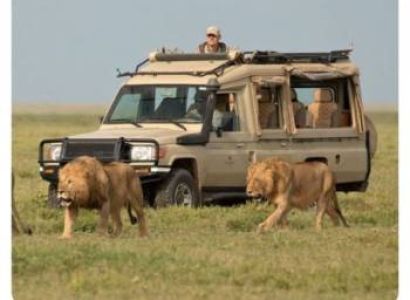 1 Night/day from Nairobi to Masai Mara and Back to Nairobi