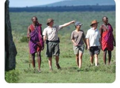 1 Night/day from Nairobi to Masai Mara and Back to Nairobi