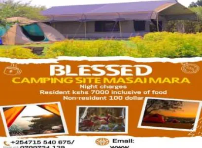 1 Night/day from Nairobi to Masai Mara and Back to Nairobi